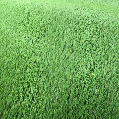 Artificial Grass 30mm (price per m2) 2mtr Wide Valour
